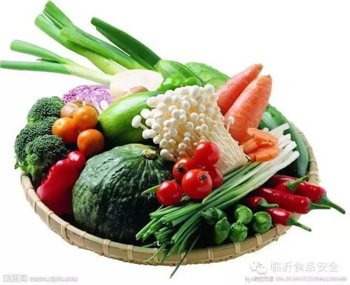 常用食品的安全選購、食用與保存及日用百貨注意事項(xiàng)
